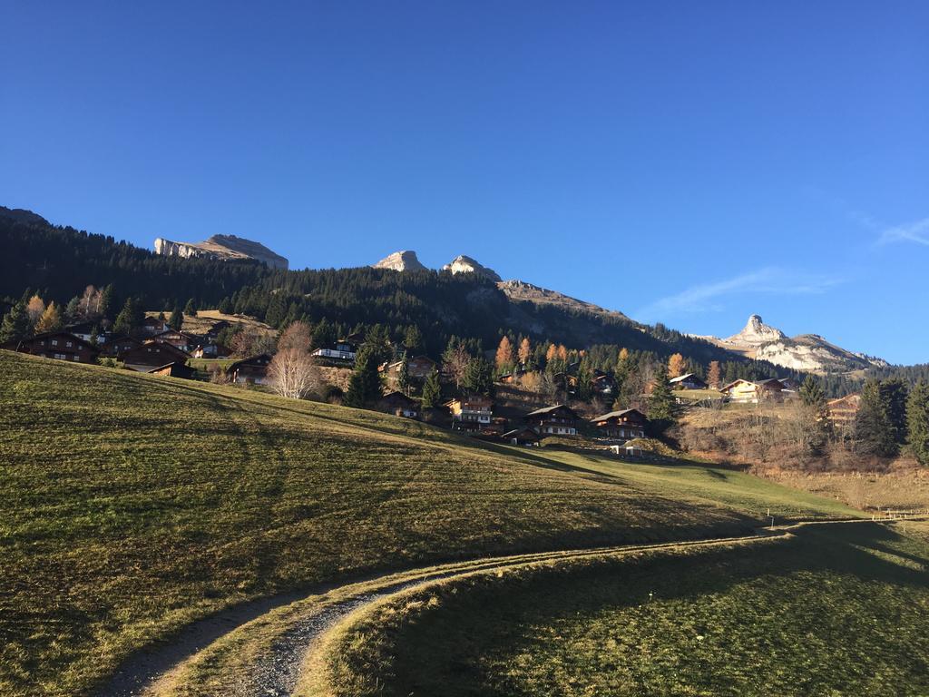 Appartement La petite Silene à Leysin Chambre photo